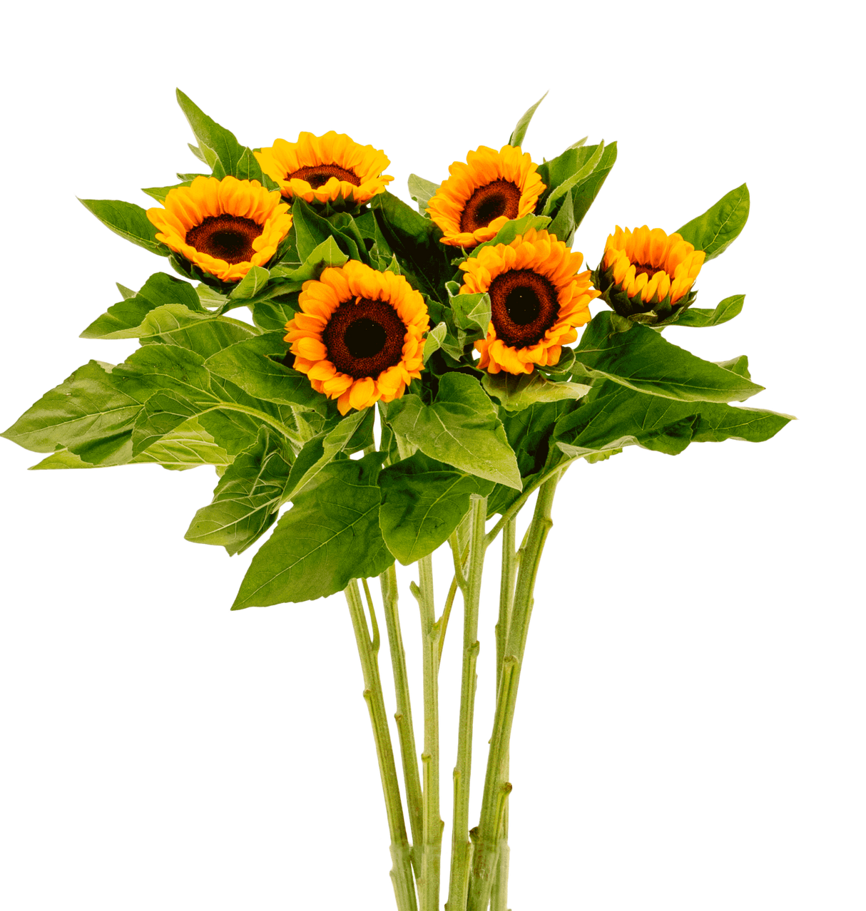Yellow common sunflower bouquet with artificial flowers.