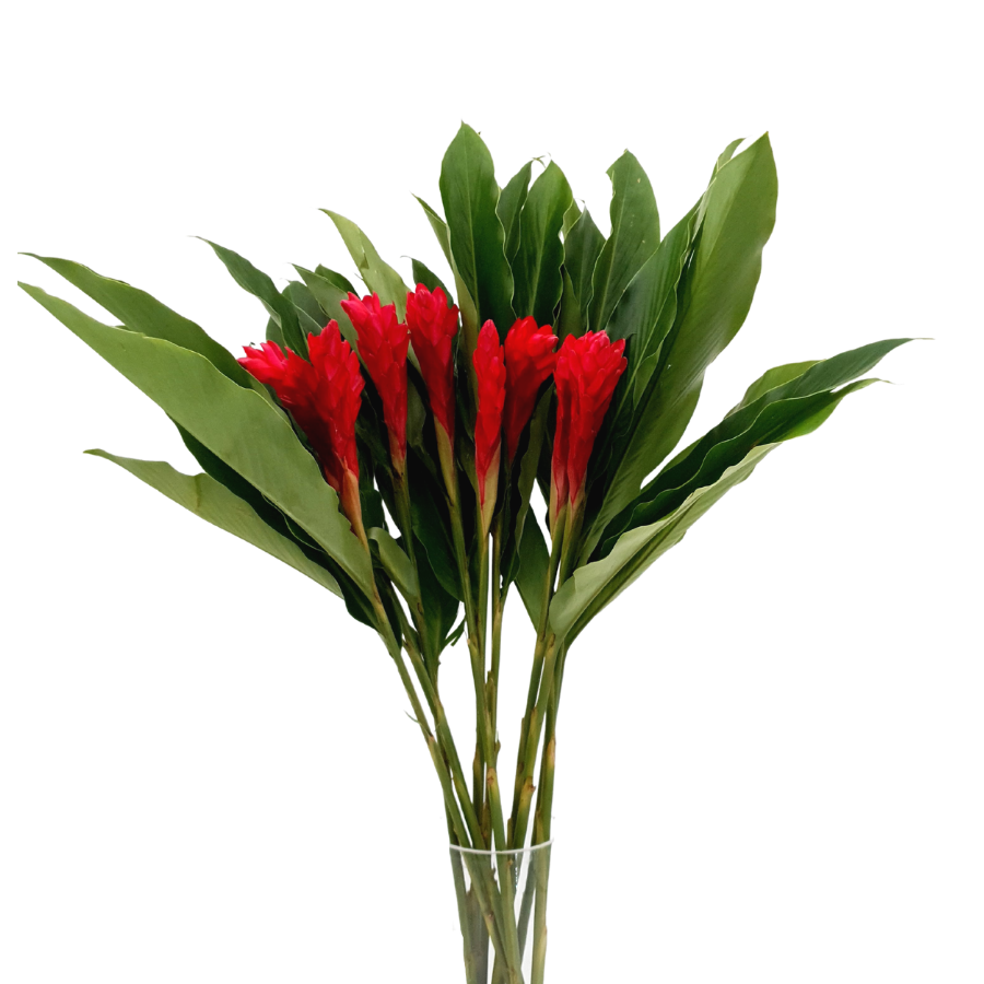 Red artificial flower with petals and plant stem.