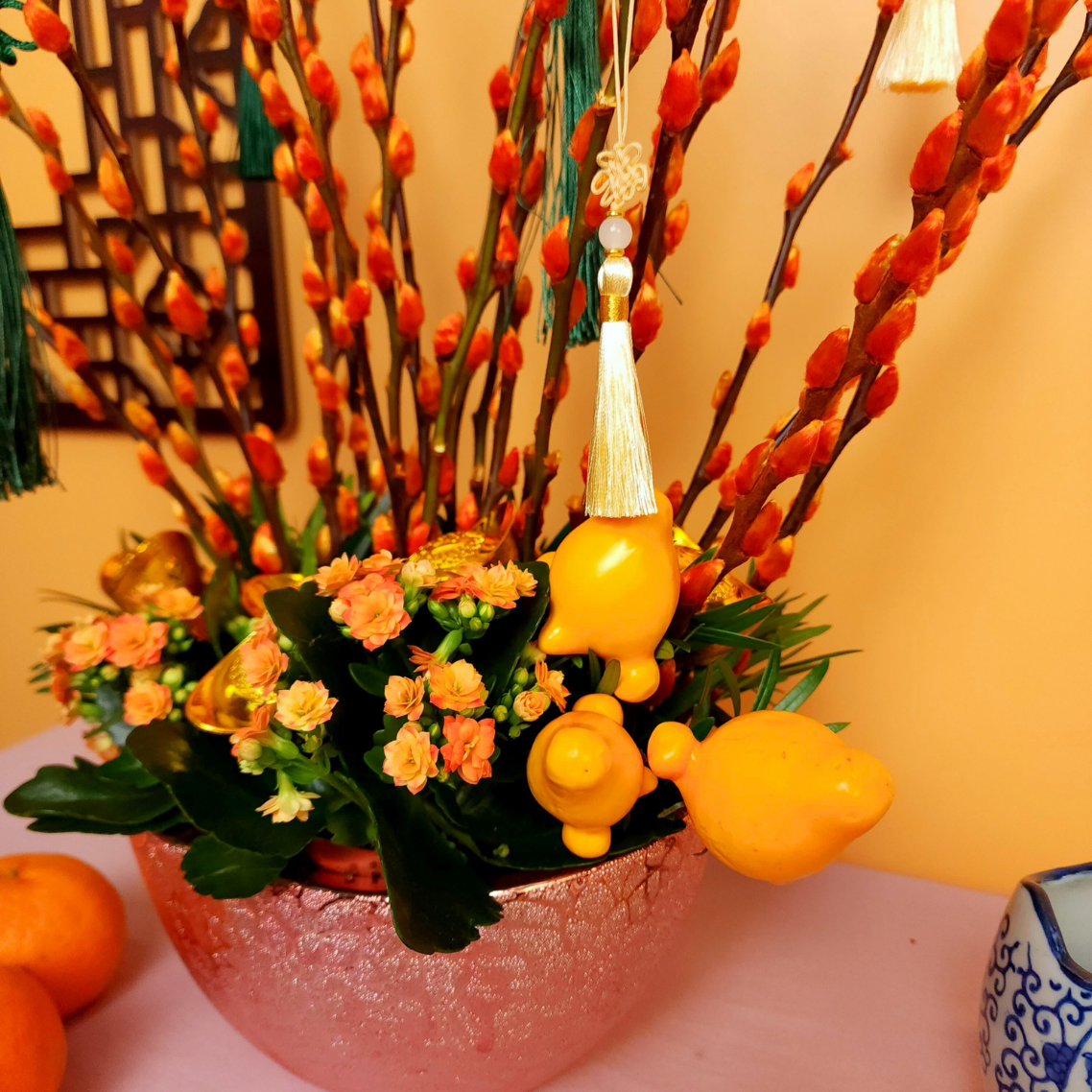 Golden Fortune - Pussy Willow