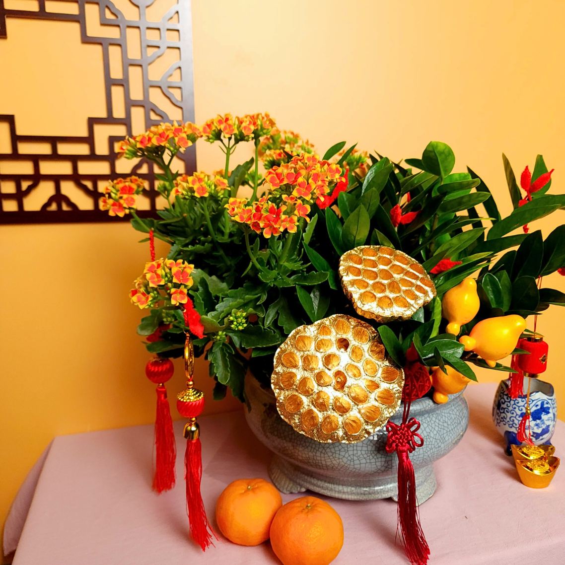 Grand Abundance - CNY Plant