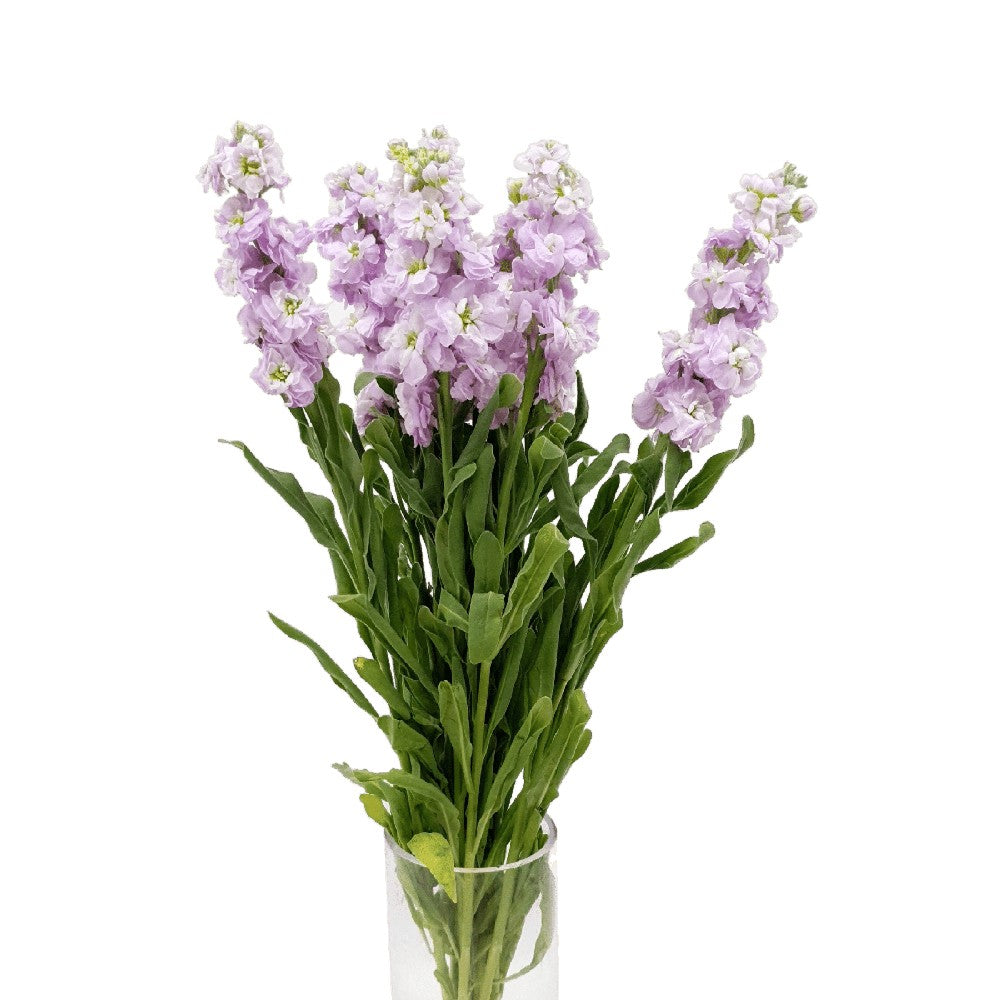 Pink and purple flower bouquet in vase.