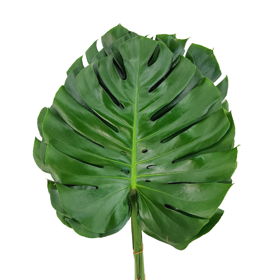 Yellow flower bouquet in wicker basket.