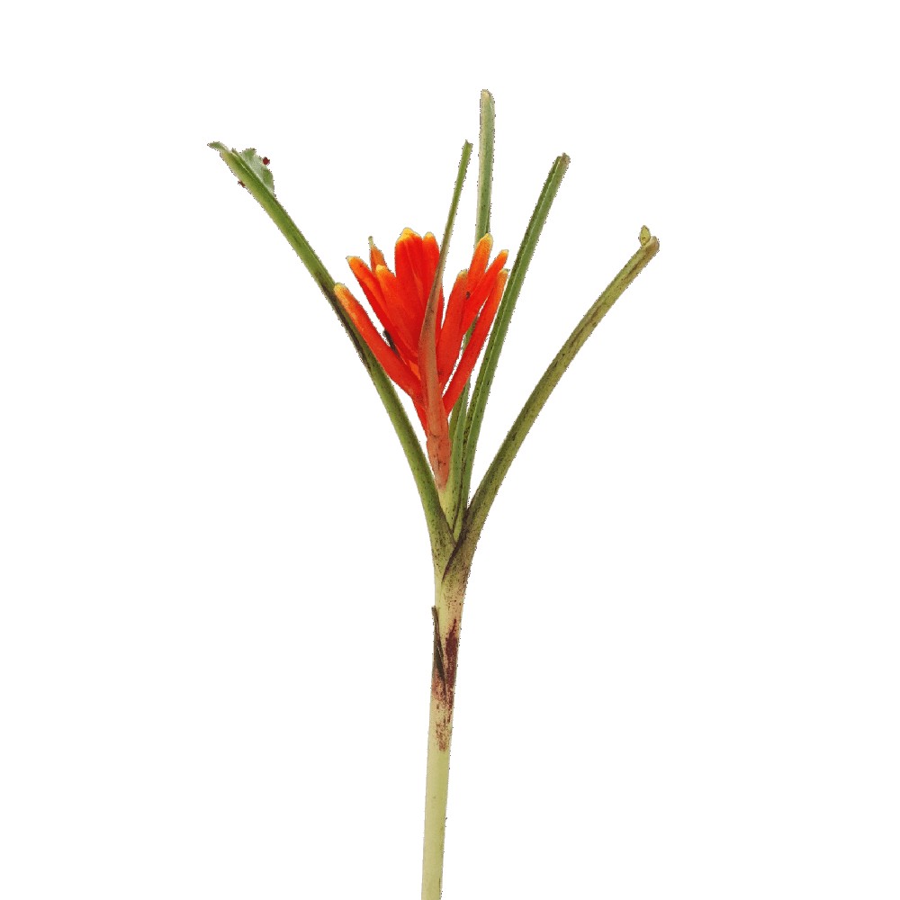 Assorted adhesive tapes and office supplies.