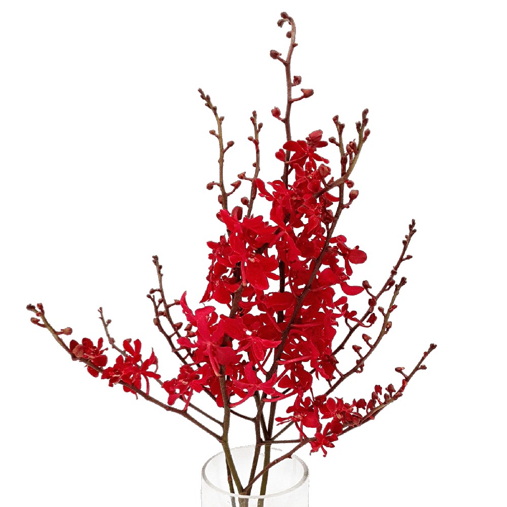 Branch with red berries and flowers in vase.