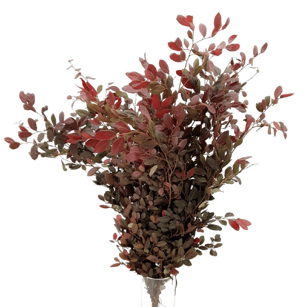 Assorted nuts and seeds close-up.