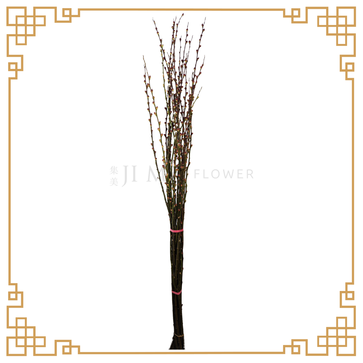 Pussy Willow Lion Head 6ft (银柳 狮头)