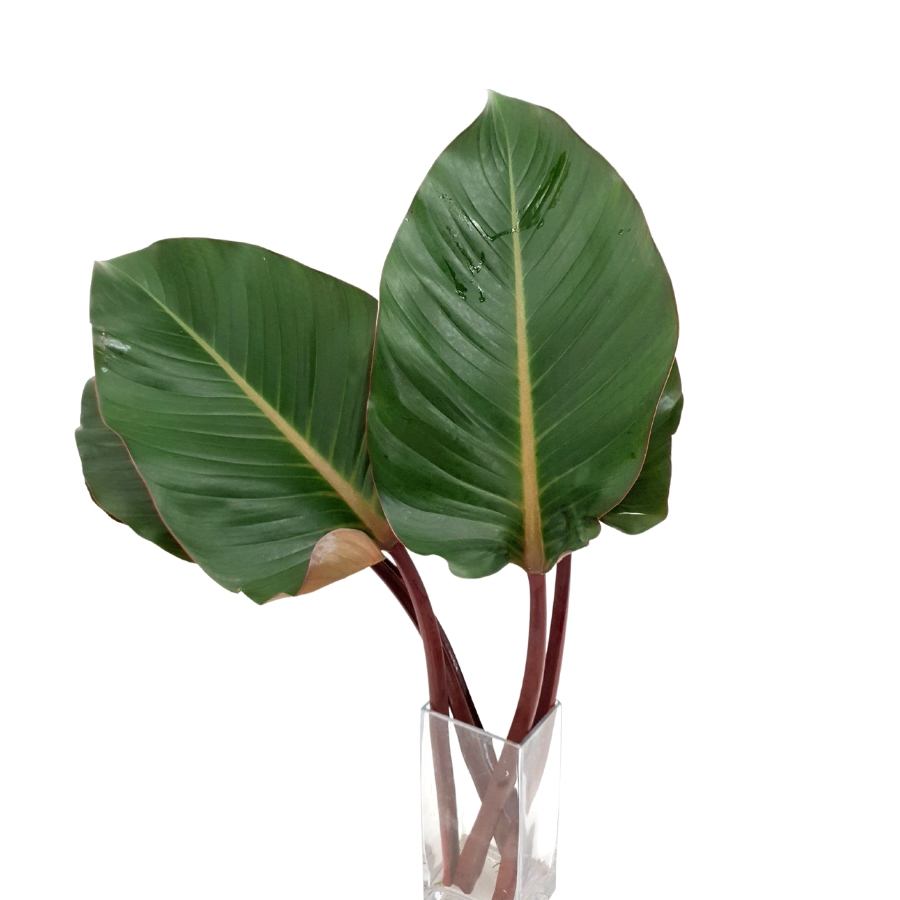 Yellow and pink flower bouquet in vase.