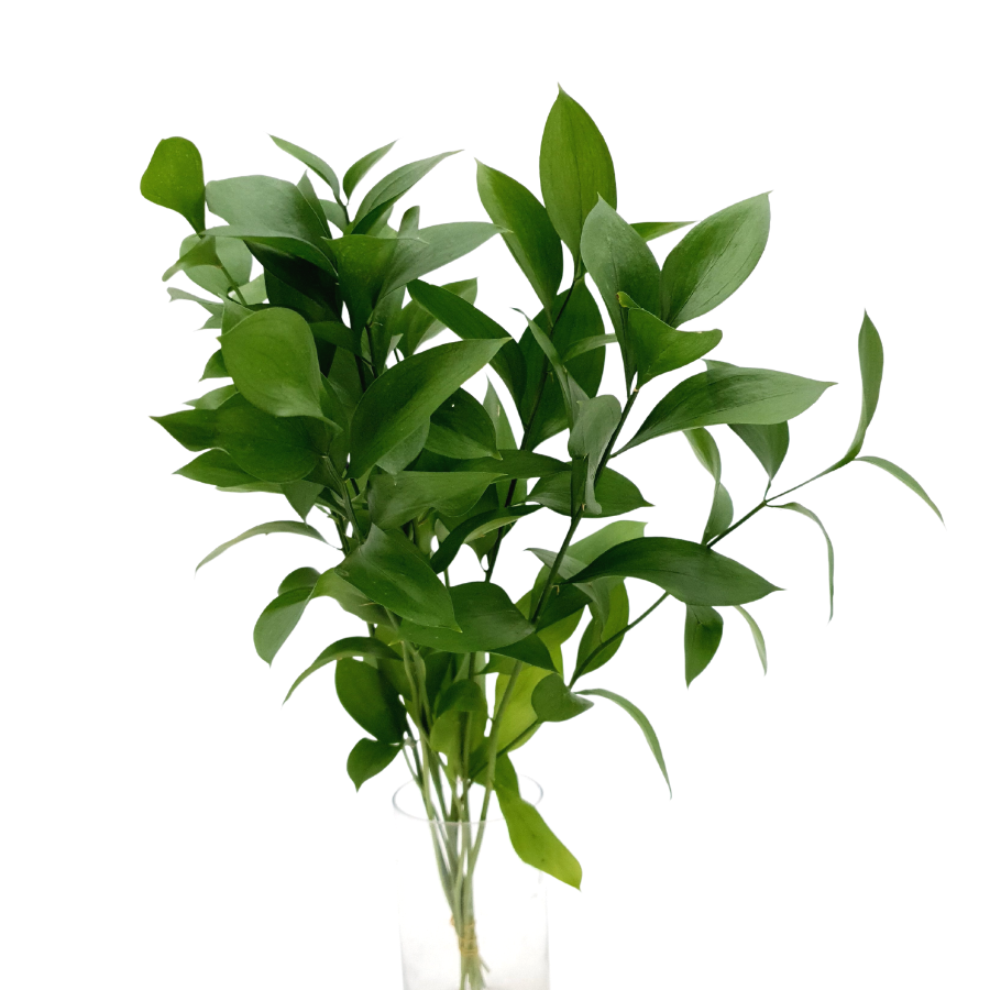 Yellow and pink flower bouquet by Dior.