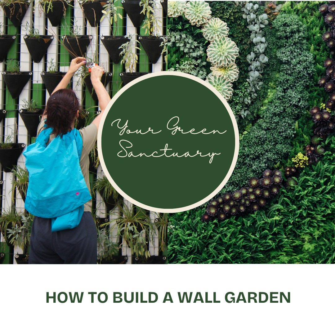 Creating Your Green Sanctuary: How to build a wall garden