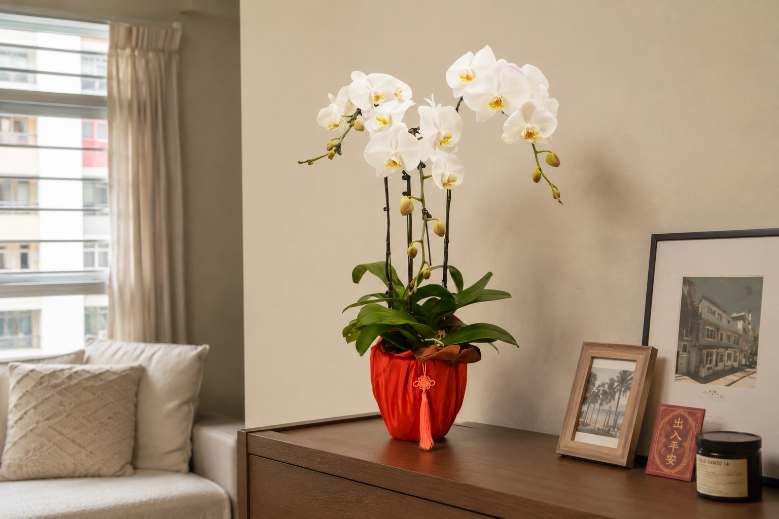 Why Orchids Are the Most Singaporean Thing You Can Put in Your Home
