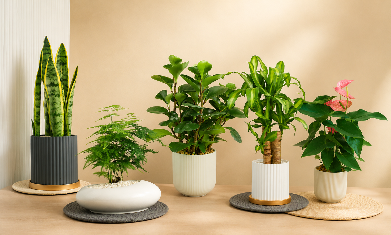 Why Plants Make a Thoughtful Father’s Day Gift