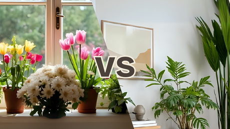 Plant Parent vs Flower Lover