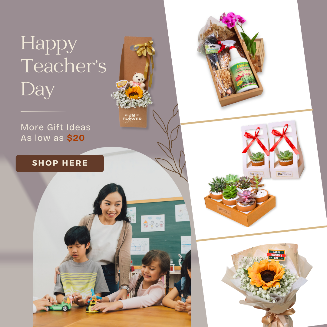 Teacher's Day Gift Ideas