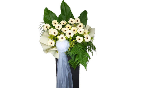 White Gerbera funeral flower stand with lush green leaves and fern