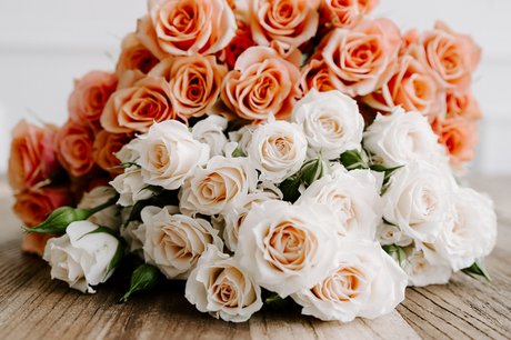 Roses for Every Occasion: A Gifting Guide
