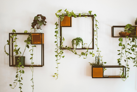 Running Out of Floor Space? Take Your Plants Vertical