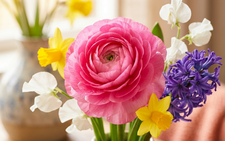 Why Spring Flowers Feel Different: The Psychology of Seasonal Blooms