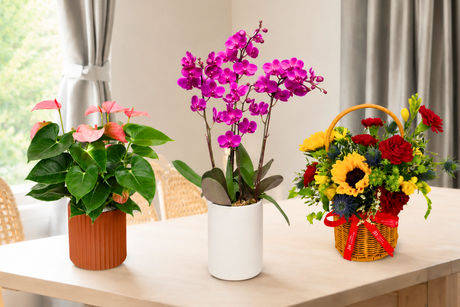 Who Deserves Flowers This National Day? A Gifting Guide for August 9th