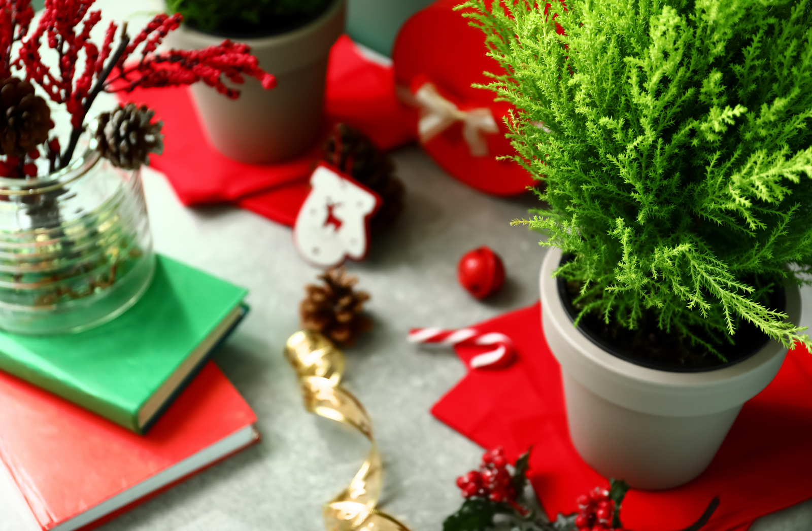 Fresh vs. Artificial Christmas Flowers: Which is Best for You?