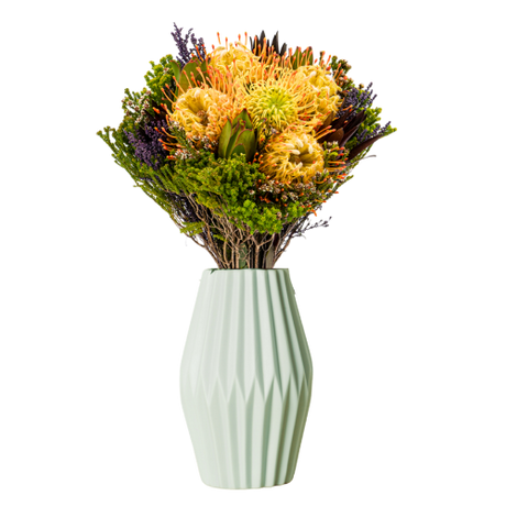 South African Flower