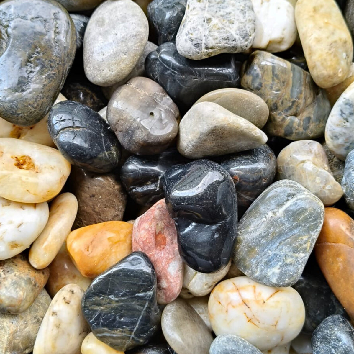 Pebble Stone|JM Flower