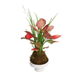 Pink flowering plant in flowerpot with houseplant.