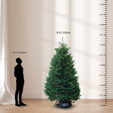 Noble Fir Christmas Tree 8-9FT (USA No.1 Grade)