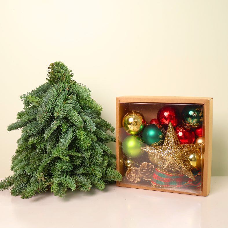 DIY Kit (Premium) - Fresh Christmas Mini Tree