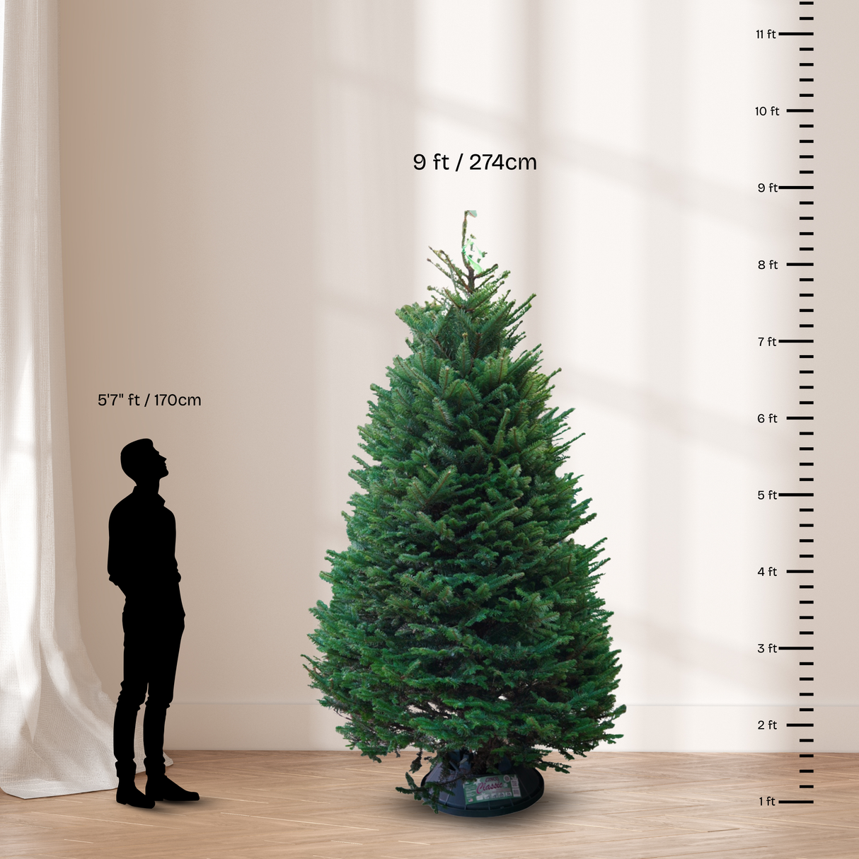 Noble Fir Christmas Tree 9-10FT (USA No.1 Grade)