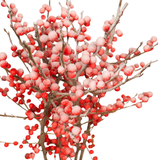 Ilex Verticillata Winterberry (Holland) -  Red with Artificial Snow