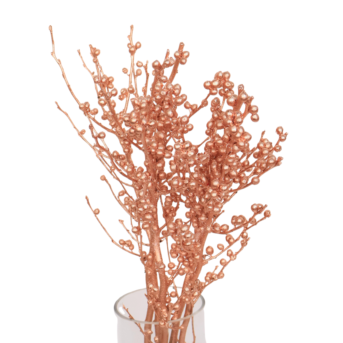 Ilex Winterberry Silver / Gold (Holland)