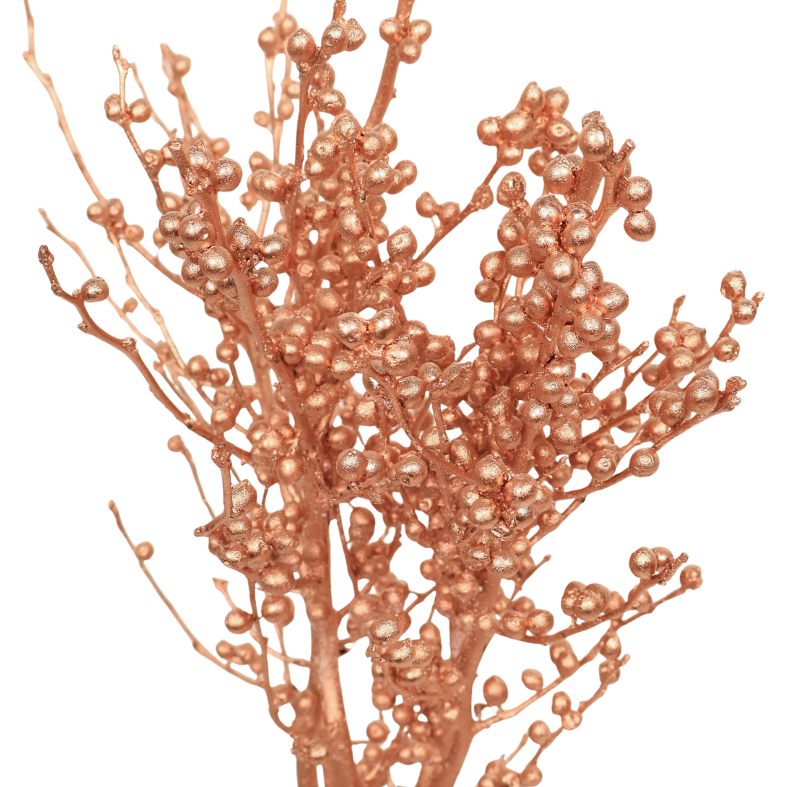 Ilex Winterberry Silver / Gold (Holland)