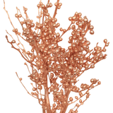 Ilex Winterberry Silver / Gold (Holland)