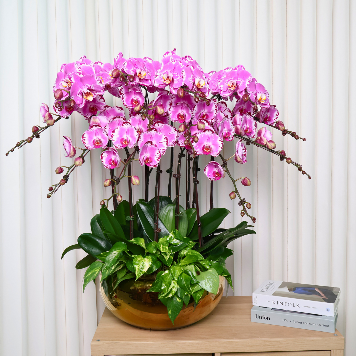 Orchid Royale (12 Single Stem) - Orchid Phalaenopsis