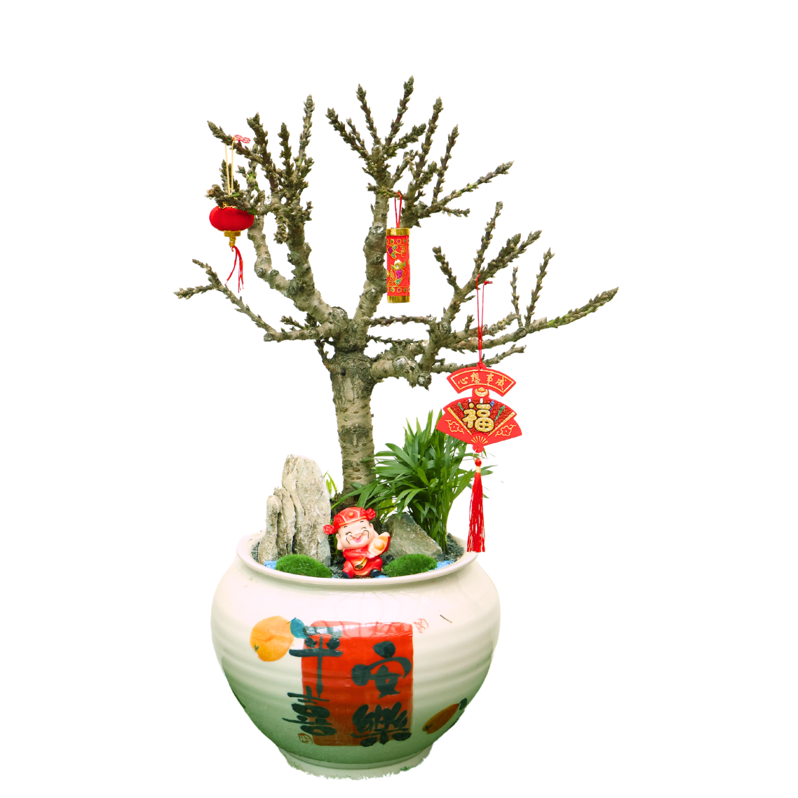 Peach Blossom Plant in Festive Pot (蟠桃花)