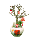 Peach Blossom Plant in Festive Pot (蟠桃花)