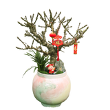 Peach Blossom Plant in Festive Pot (蟠桃花)