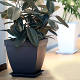 BABA BI-SP-350 Square Plastic Pot