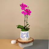 Pink artificial flower in vase.