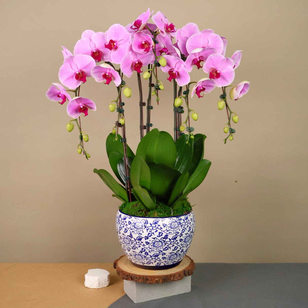 Pink and purple flowers in flowerpot.