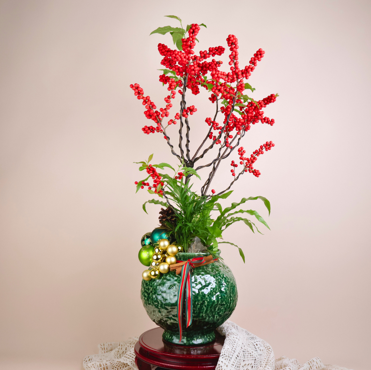 IIex Vertillata (Red Winterberry) in Ceramic Pot