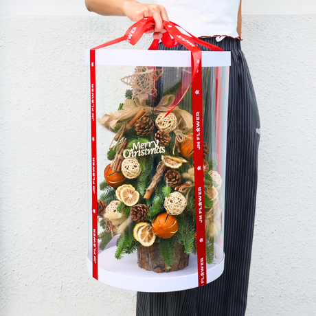 Rosy Noel - Fresh Mini Christmas Tree