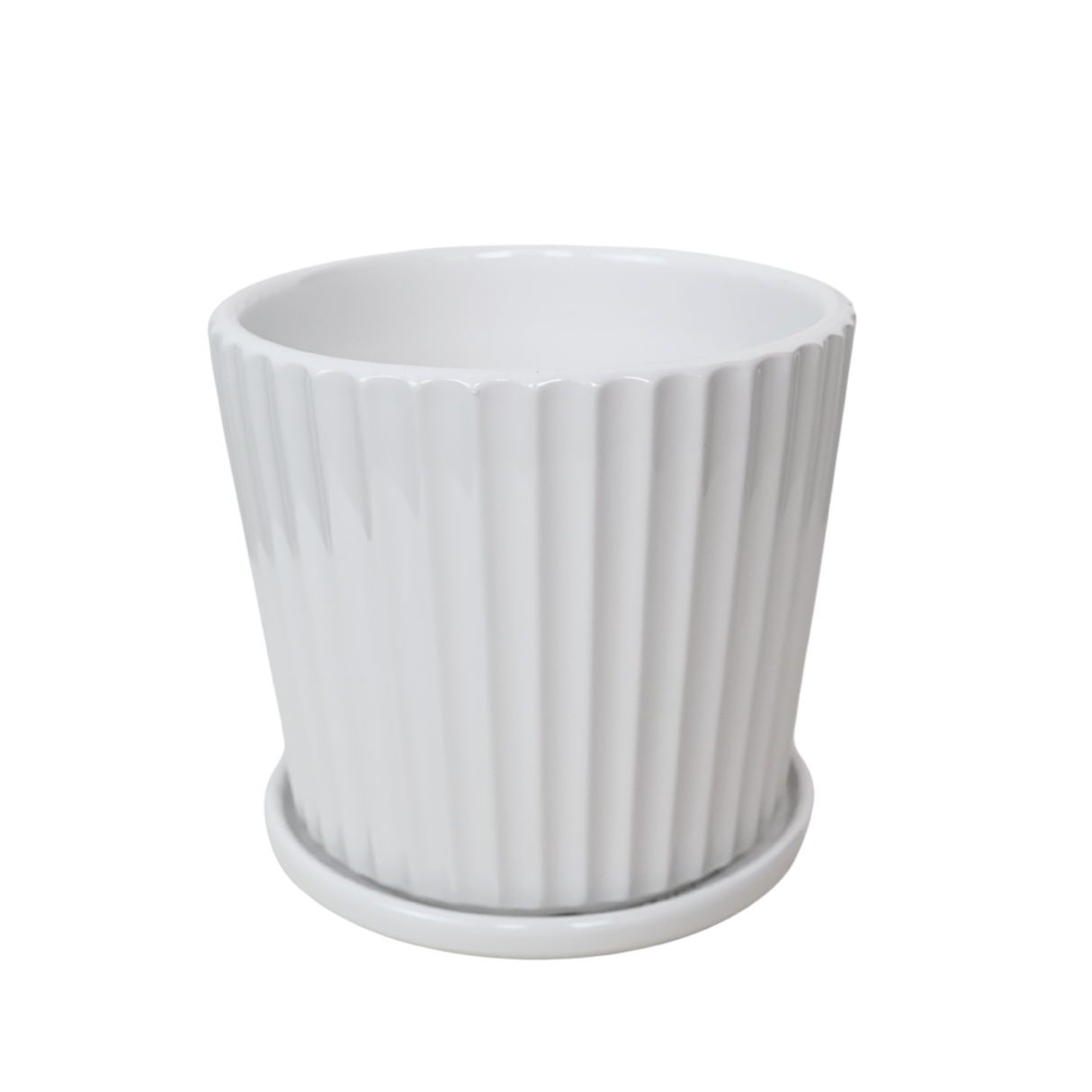 POT TX03 White