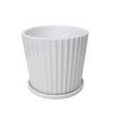 POT TX03 White