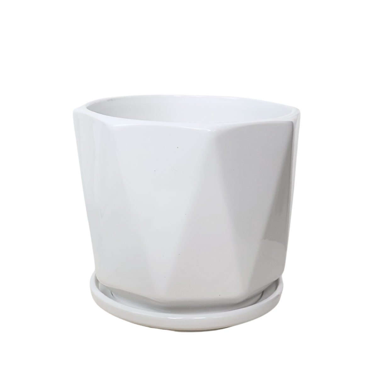 POT TX03 White