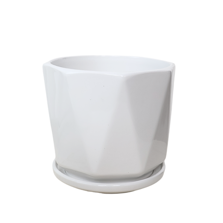 POT TX03 White