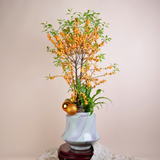 IIex Vertillata (Orange Winterberry) in Ceramic Pot