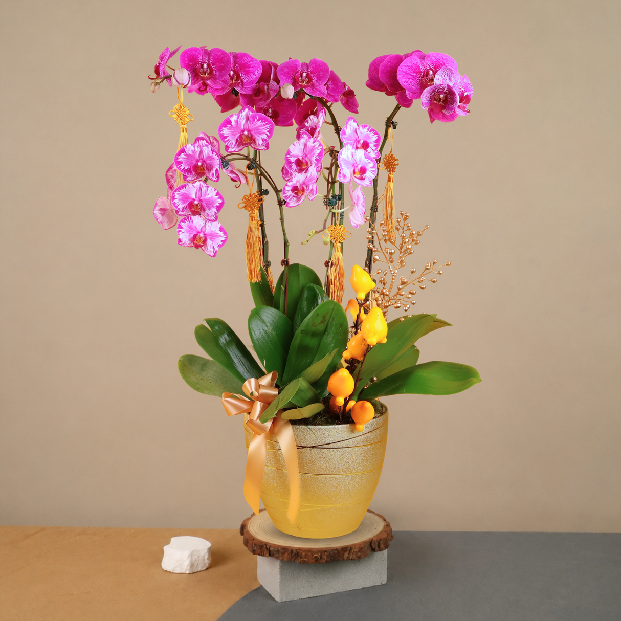 Celestial Luck (5 Single Stalks) - Orchid Phalaenopsis