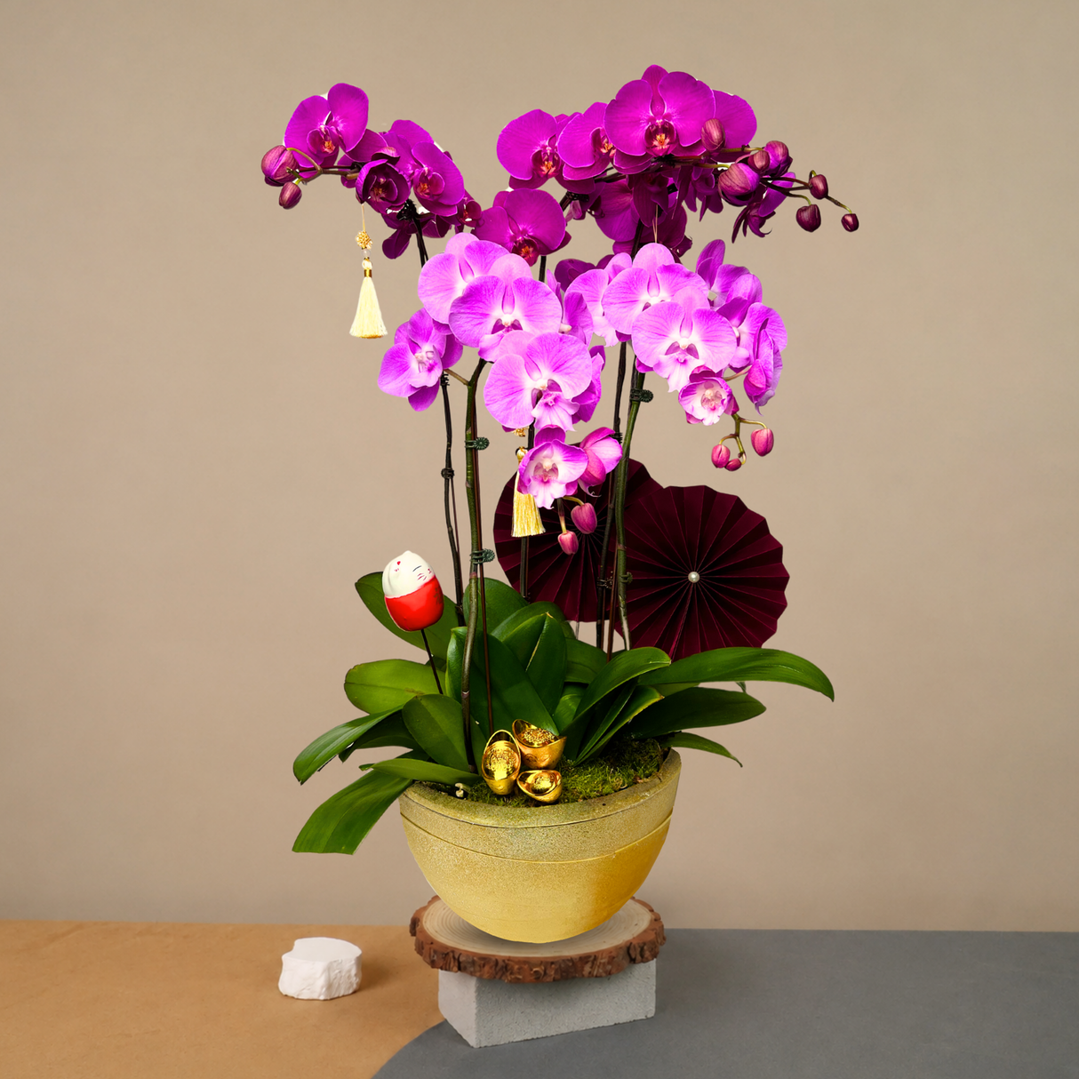 Blossom Harmony (5 Single Stalks) - Orchid Phalaenopsis