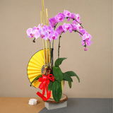 Triple Fortune (3 Single Stalks)- Orchid Phalaenopsis
